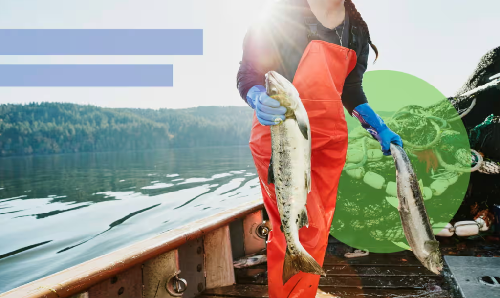 From the sea to your plate: how to choose more sustainable&nbsp;salmon