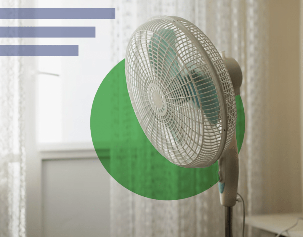 What to turn to when the heat hits: the&nbsp;fan